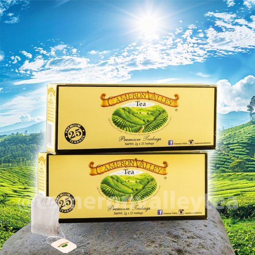 Double Chamber Tea Bags 25's