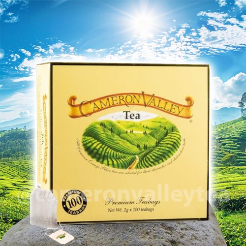Double Chamber Tea Bags 100's