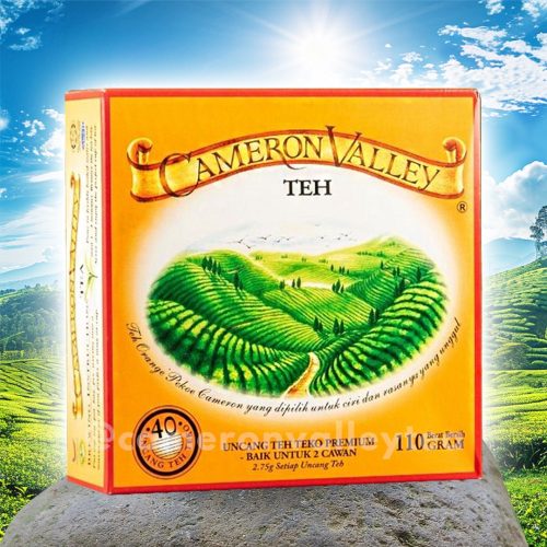 Premium Tea Pot Bags 40's